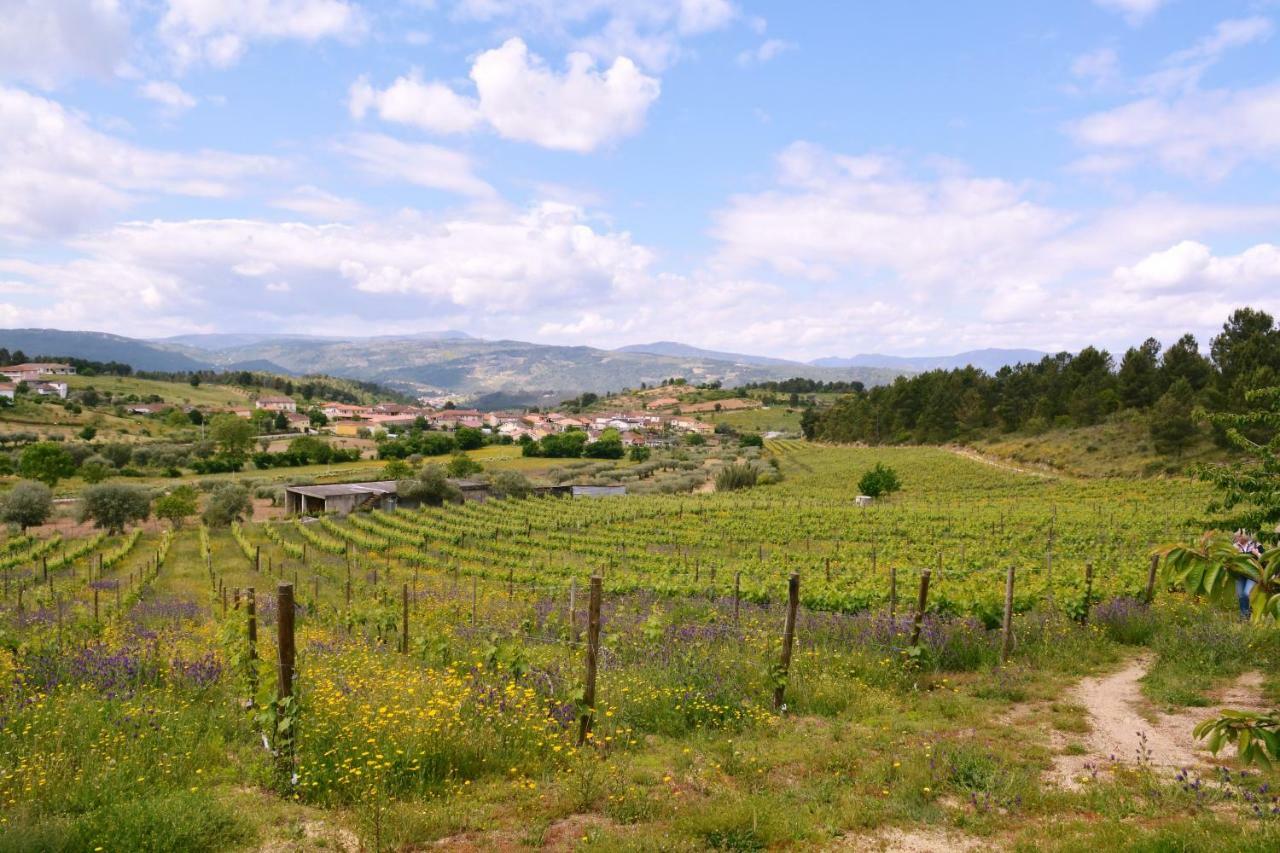 Casas De Selhariz Villa Vidago Bagian luar foto